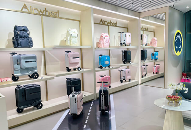 Electric luggage display